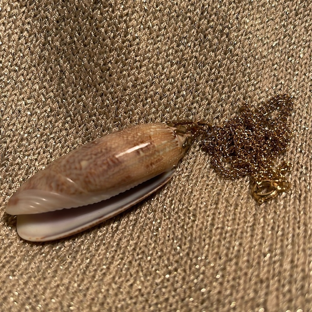 Vintage Seashell Pendant Necklace